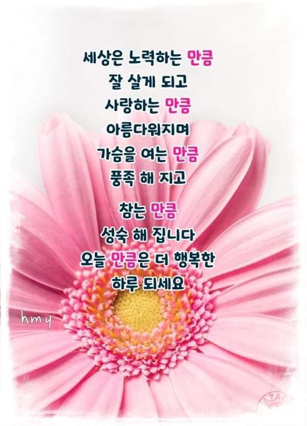 인연이란? - ‥‥공유 ♡ 좋은글 - 향기있는 좋은글 인연이란?