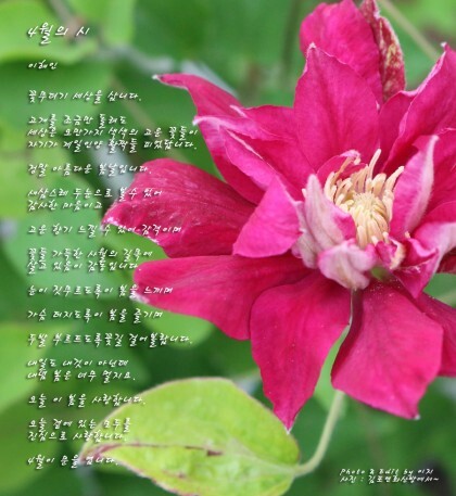 토요일 이미지
