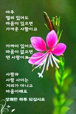 친구여 이미지