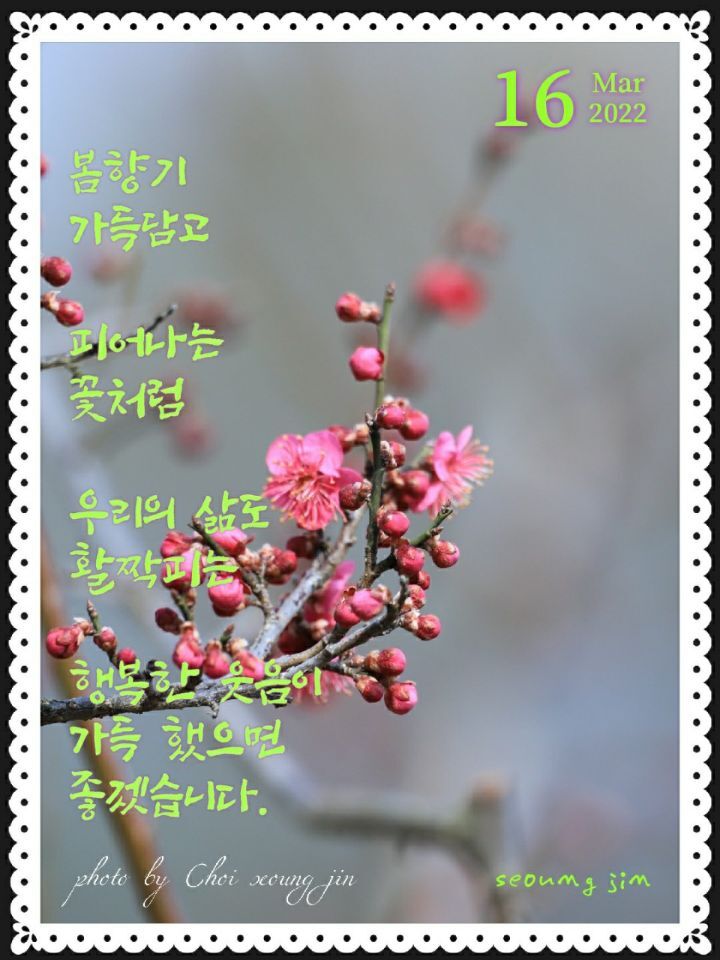 향기 이미지