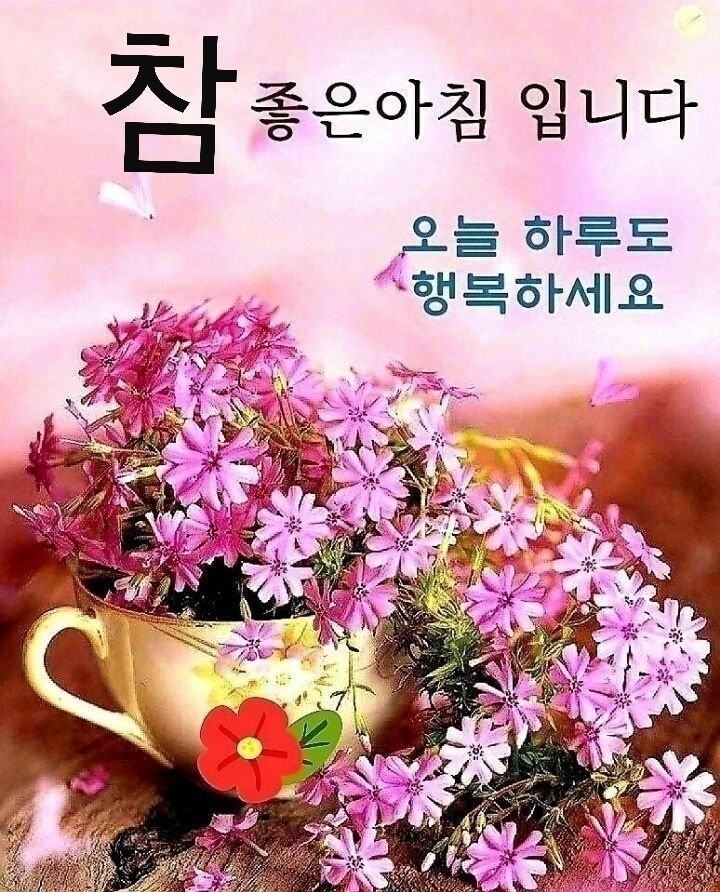 내 마음을 주고 싶은 친구 - ‥‥공유 ♡ 좋은글 - 향기있는 좋은글 내 마음을 주고 싶은 친구