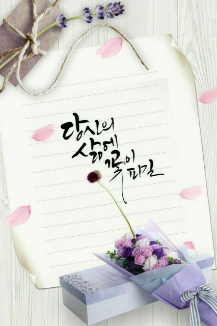 햇살계란 이미지
