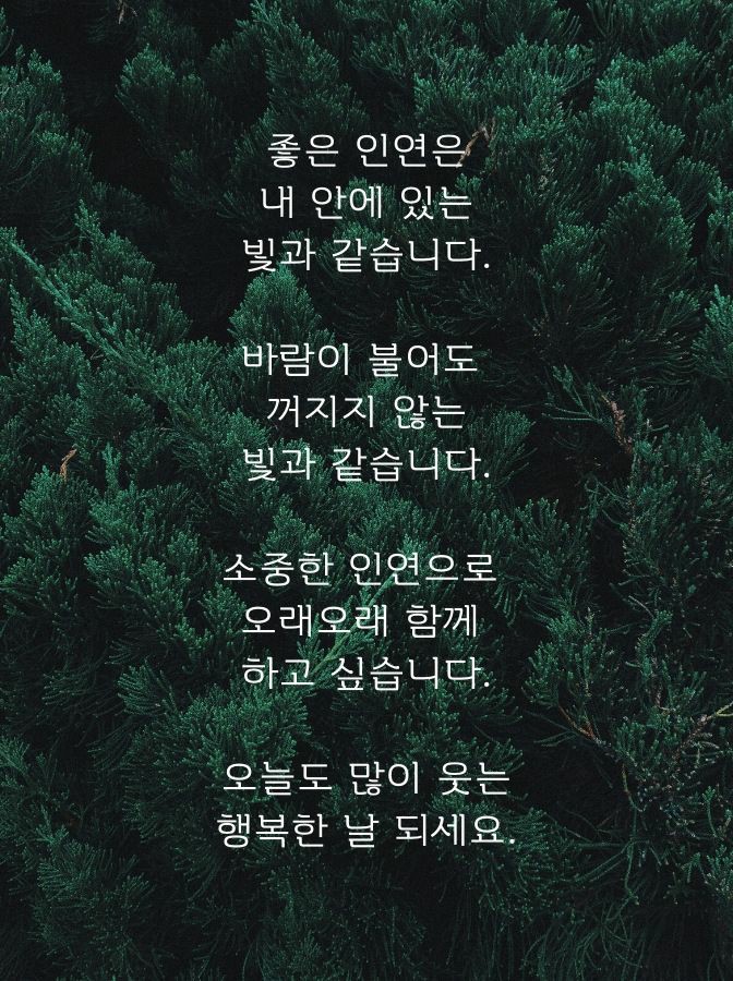우리;꽃 이미지