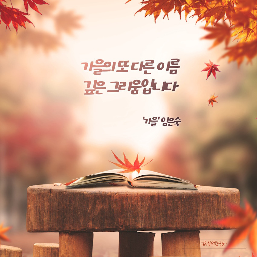 너와커피 이미지
