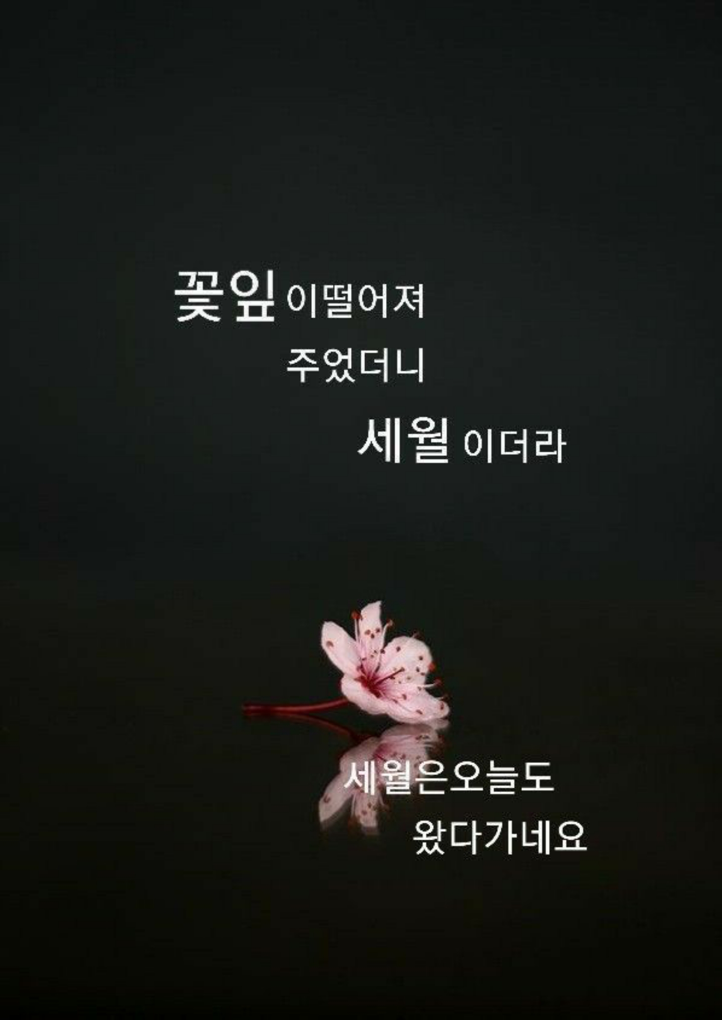 우리;꽃 이미지