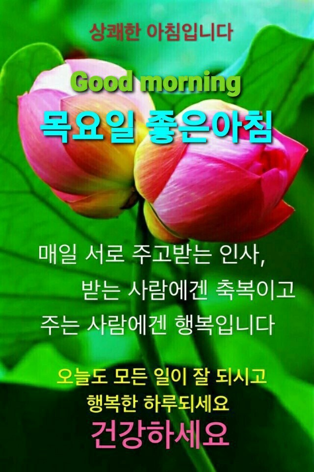 목요일 아침 / 목소리만 들어도 반가운 사람들에게 - 🔶️공유 글... 한울타리💜 목요일 아침 / 목소리만 들어도 반가운 사람들에게