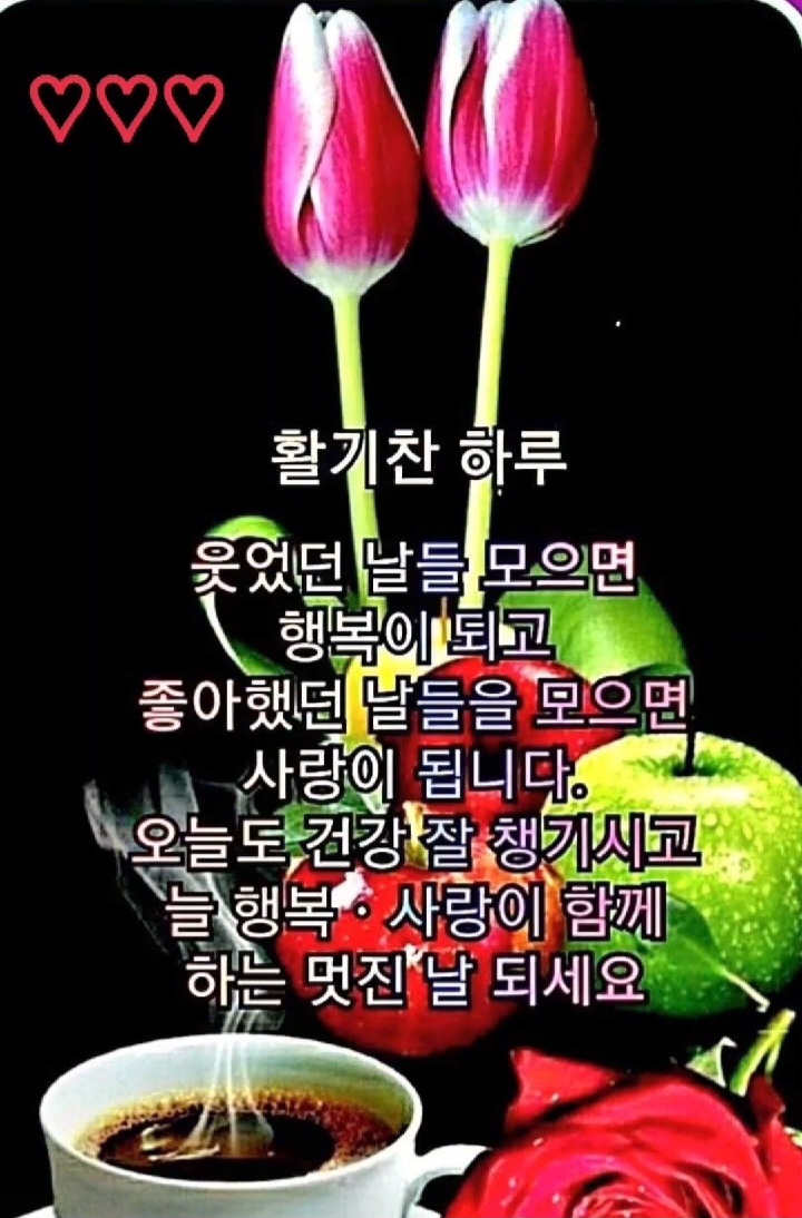 Daum 카페