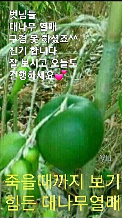 행복한잔 이미지