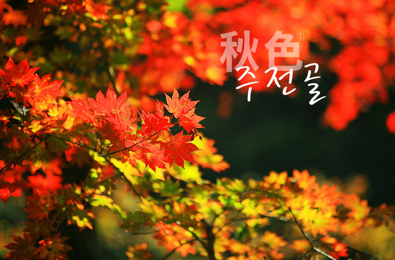 10월25일(일)설악산 오색주전골 단풍트레킹+남대천생태공원 억색 - / 자유게시판 / - 산오름 카페 10월25일(일)설악산 오색주전골 단풍트레킹... 