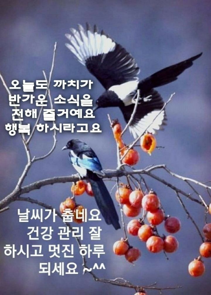 建康을 위해 근심을 버려라/이미지7 - ‥‥공유 ♡ 좋은글 - 향기있는 좋은글 建康을 위해 근심을 버려라/이미지7