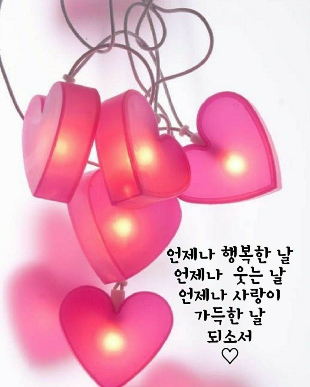 사랑으로 전하는 메세지 - 감동 글방 - ♡ 황혼의 낙원 ♡ 사랑으로 전하는 메세지