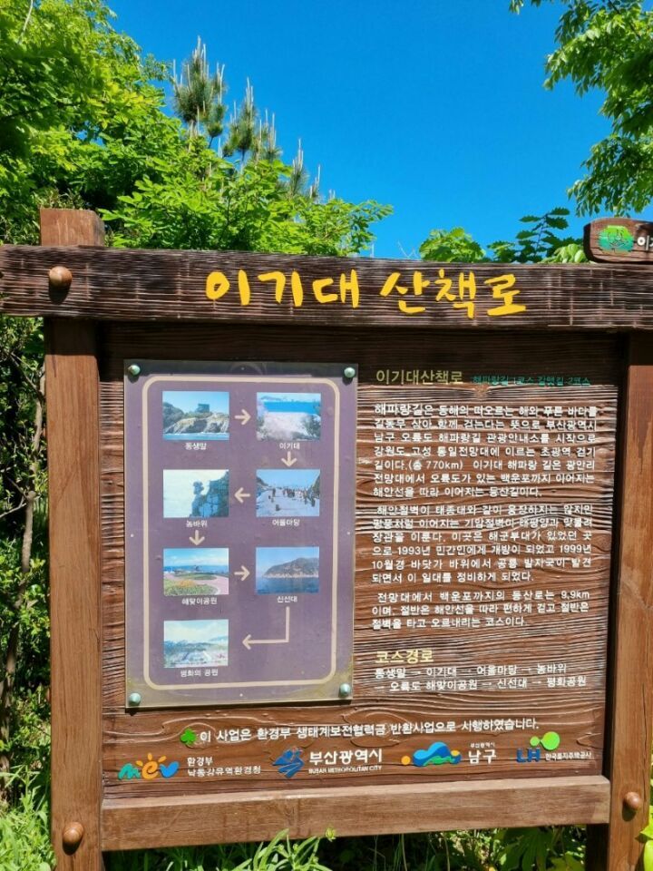 부부찐빵 이미지