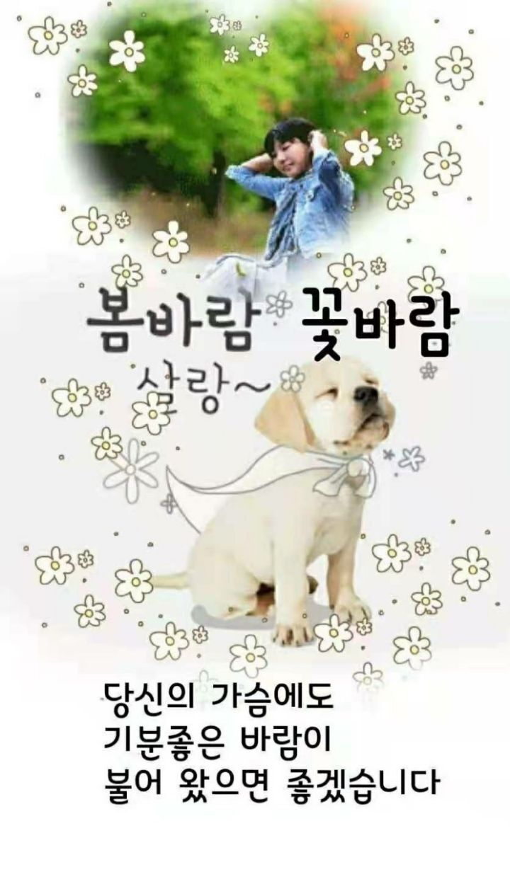 매일 같은 길은 아니었습다/ 이미지 - ‥‥공유 ♡ 좋은글 - 향기있는 좋은글 매일 같은 길은 아니었습다/ 이미지