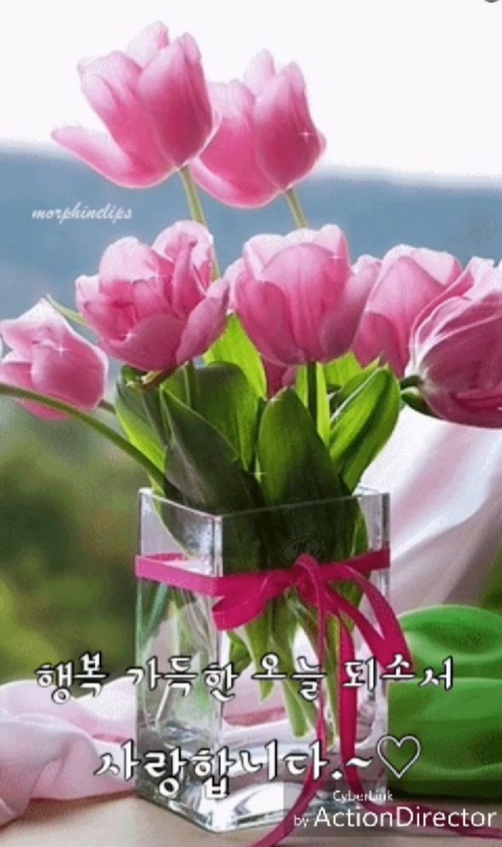 행복꽃 이미지