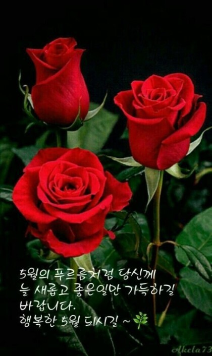 오월 이미지