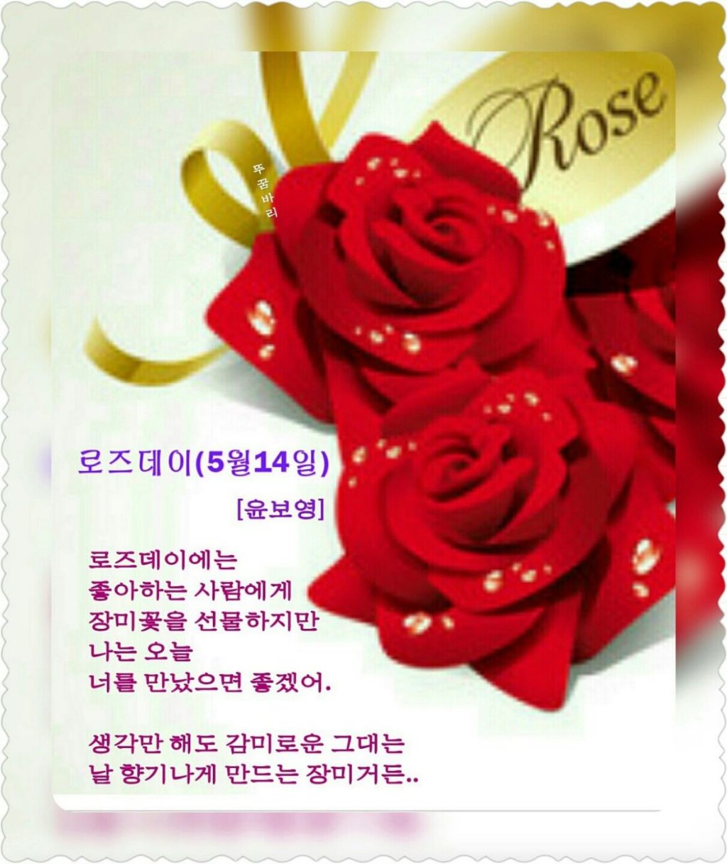 로즈데이/윤보영 - ‥‥윤보영  시인방 - 향기있는 좋은글 로즈데이/윤보영
