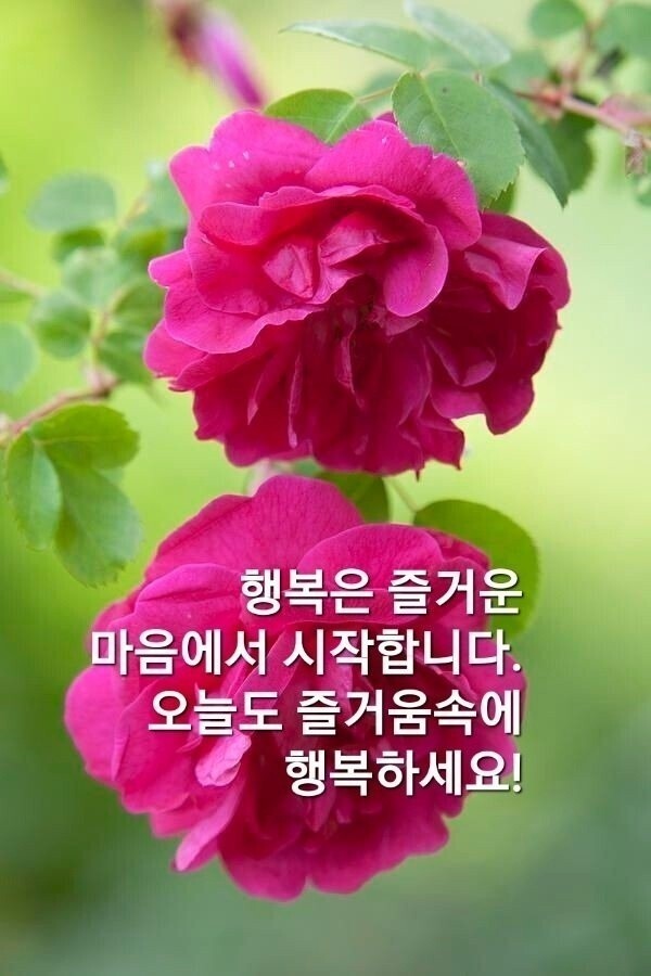 일요일 아침편지 / 2022 어버이날 어머니를 생각하며 / 부처님 오신날... 일요일 아침편지 / 2022 어버이날 어머니를 생각하며 / 부처님 오신날