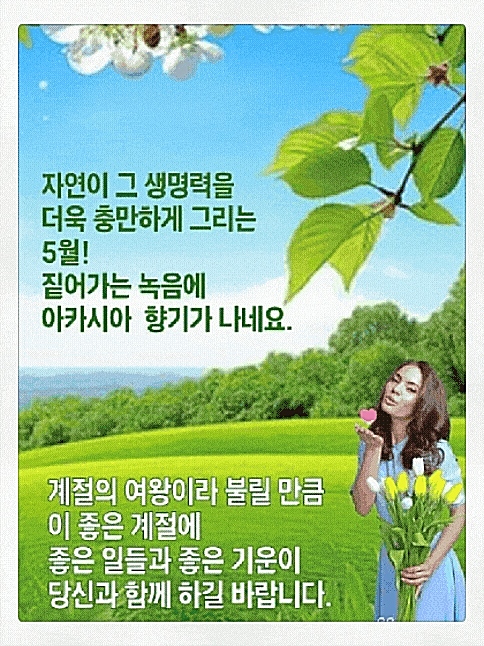 꽃향기풀내음 이미지