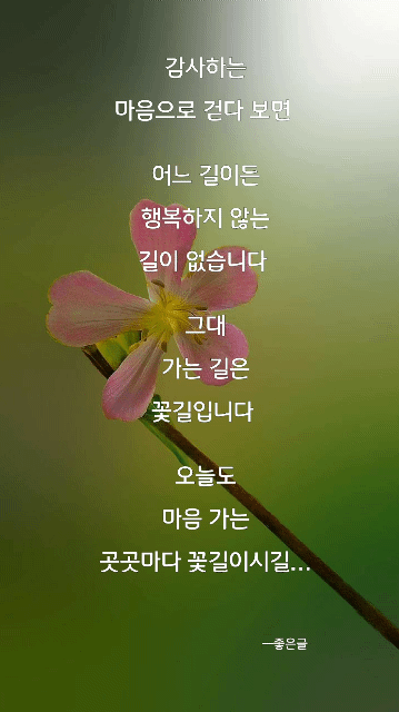 꽃길,커피랑 이미지