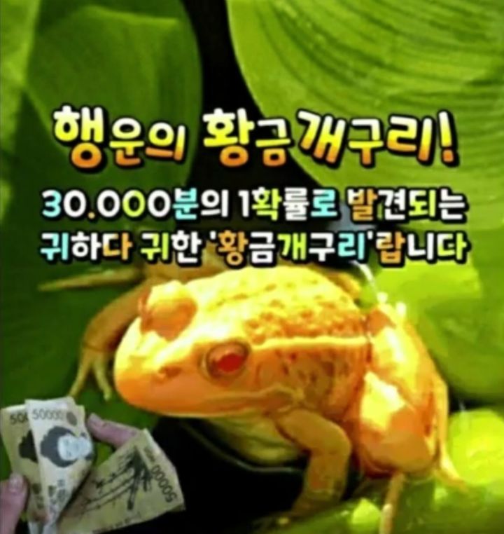 소중한지금 이미지