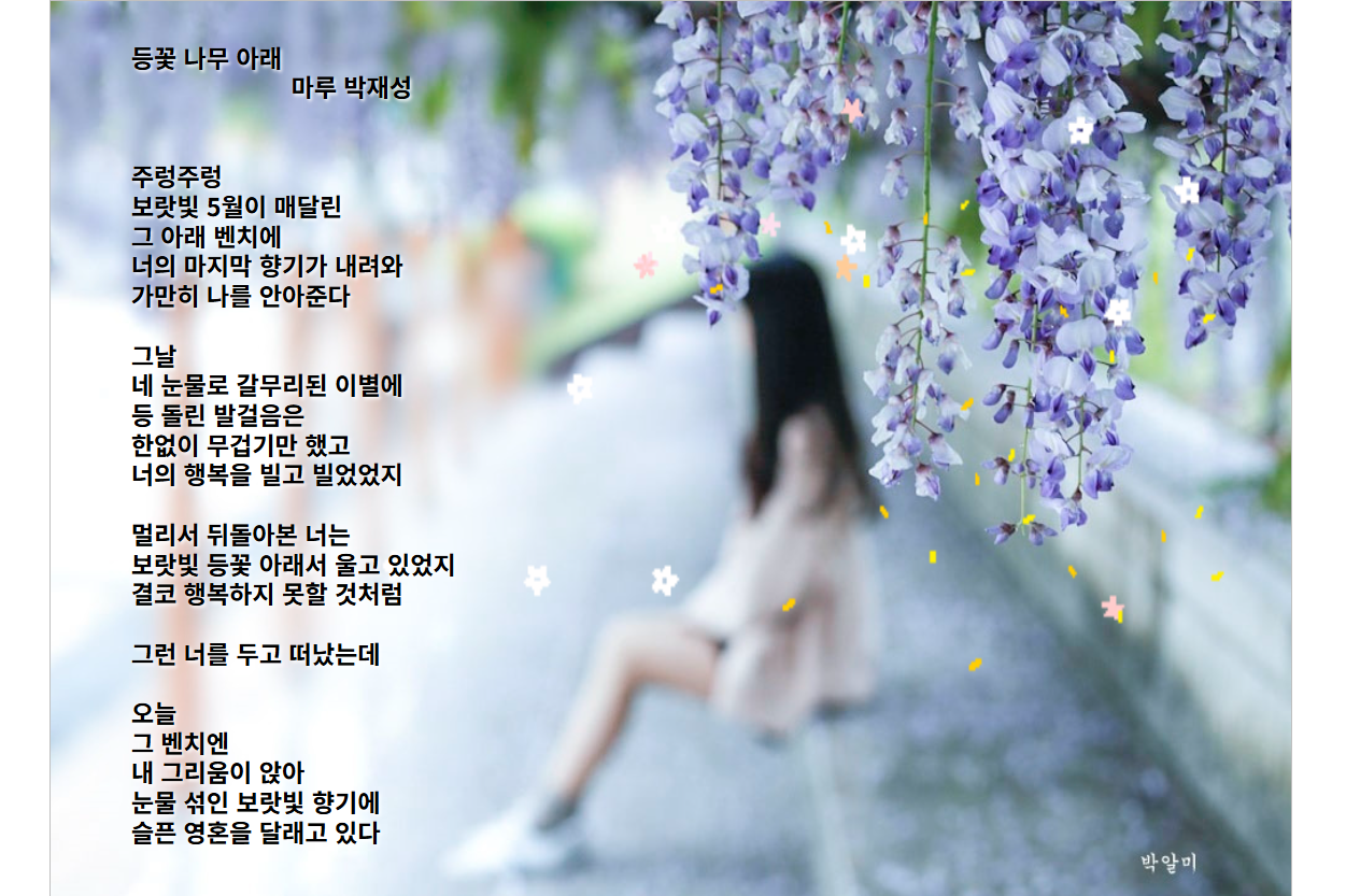 나무아래 이미지