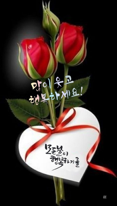 갈채 이미지