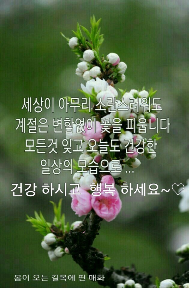 울고 싶었다 - ‥‥영상 ♡ 좋은글 - 향기있는 좋은글 울고 싶었다