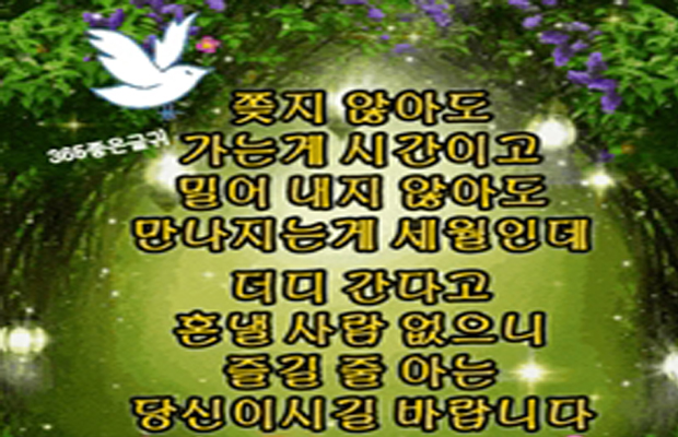 일란 이미지