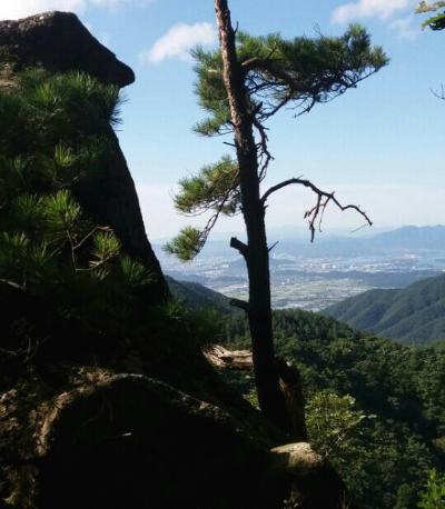 한오백년 이미지