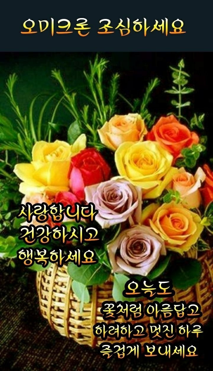 절망속에 피어난꽃 - ‥‥공유 ♡ 좋은글 - 향기있는 좋은글 절망속에 피어난꽃