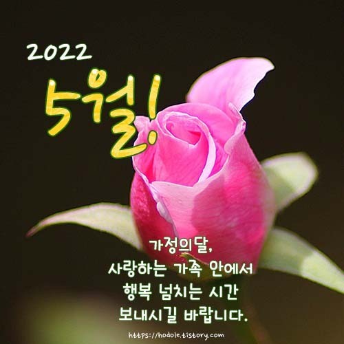 수요일 아침편지/ 중년의 가슴에 5월이 오면 - 🔶️공유 글🔰나눔 - 💜산야와 한울타리💜 수요일 아침편지/ 중년의 가슴에 5월이 오면