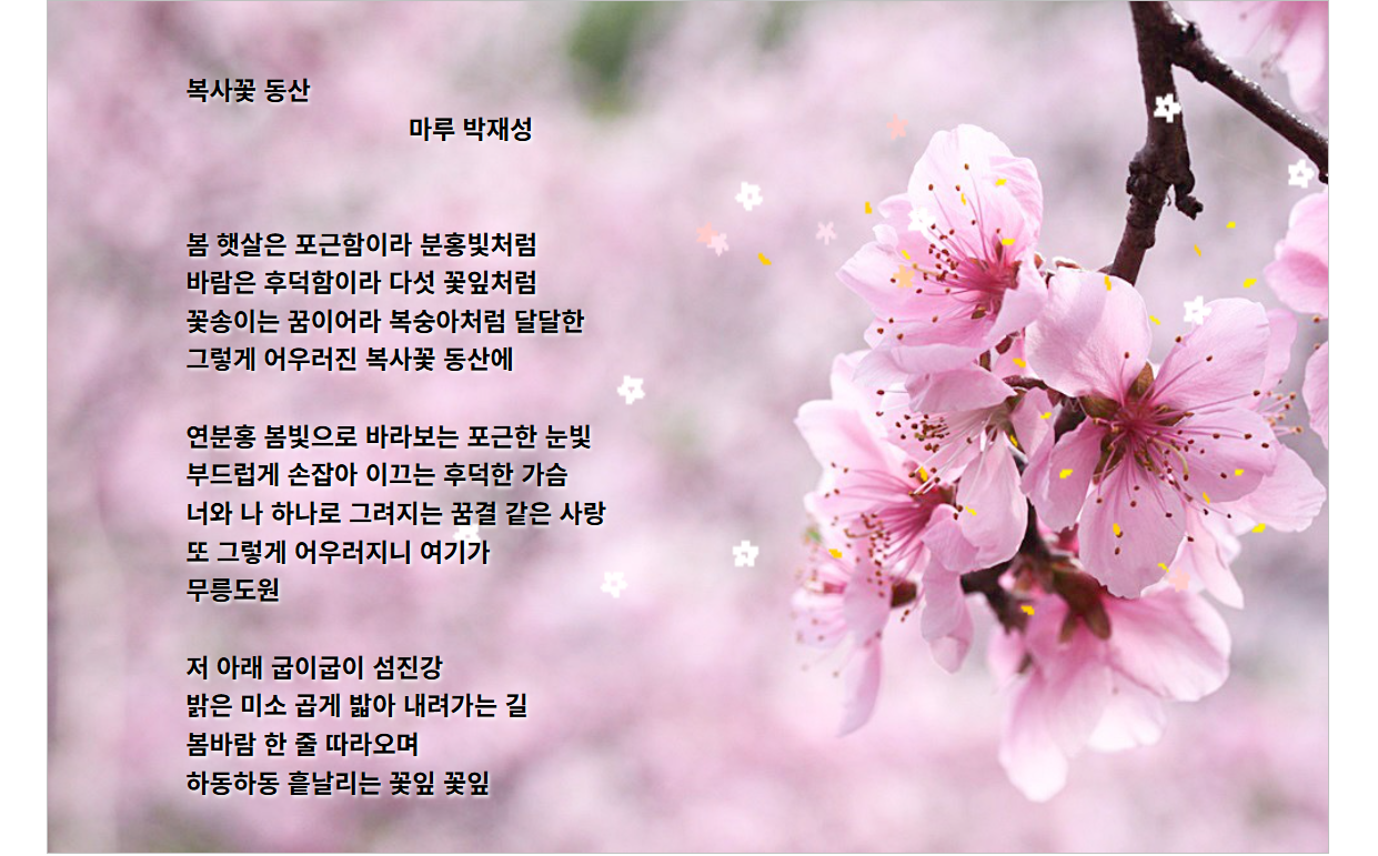 복사꽃 이미지