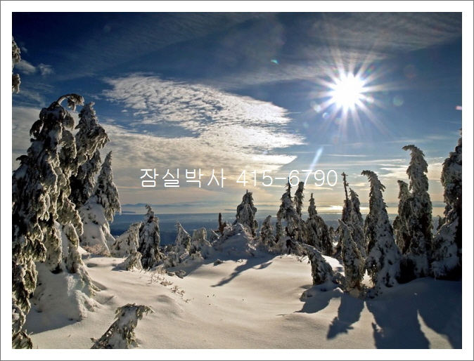 문정주공마트 이미지