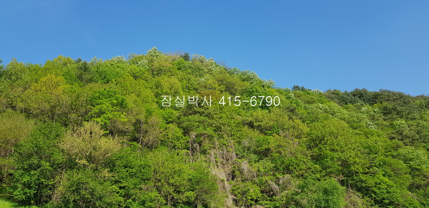 주공마트 이미지