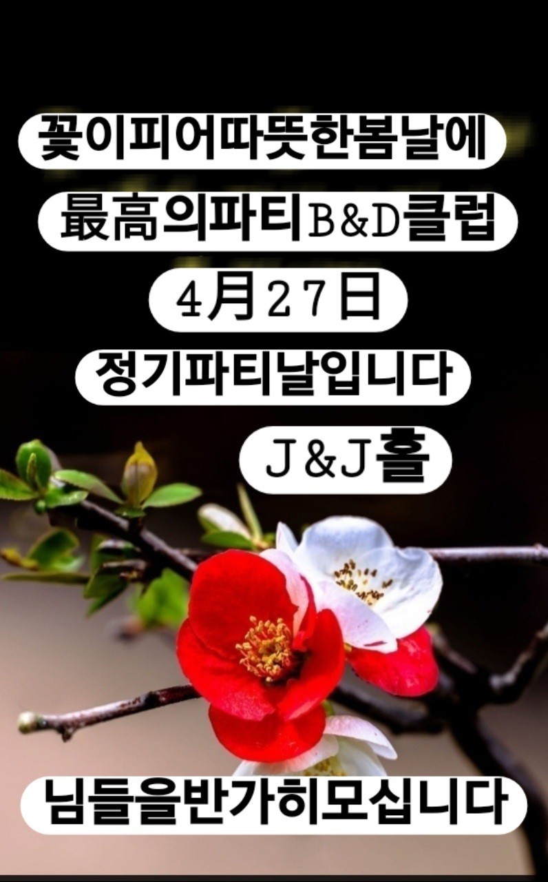 비앤디 이미지