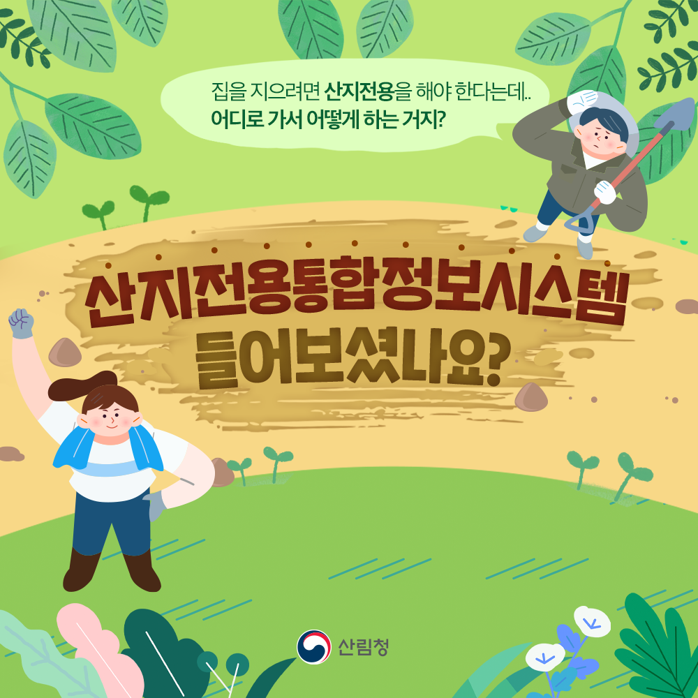 Daum 카페