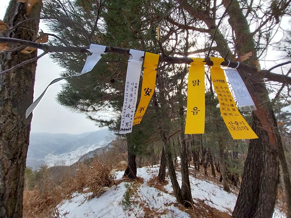 말미산정상 이미지