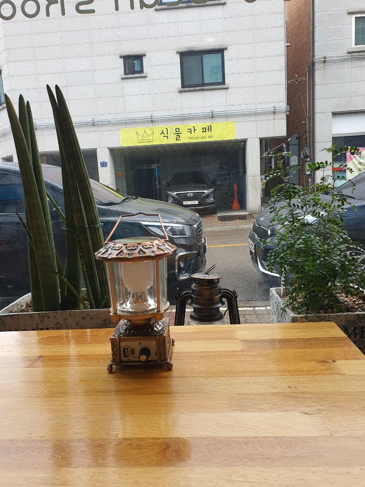 메라빌리아 이미지