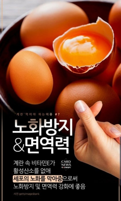 좋은계란 이미지