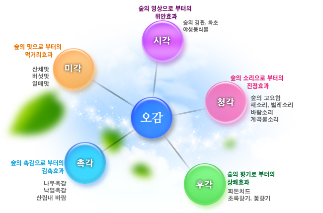 오감 이미지