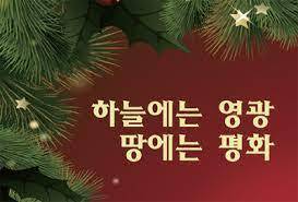 나라이브 이미지
