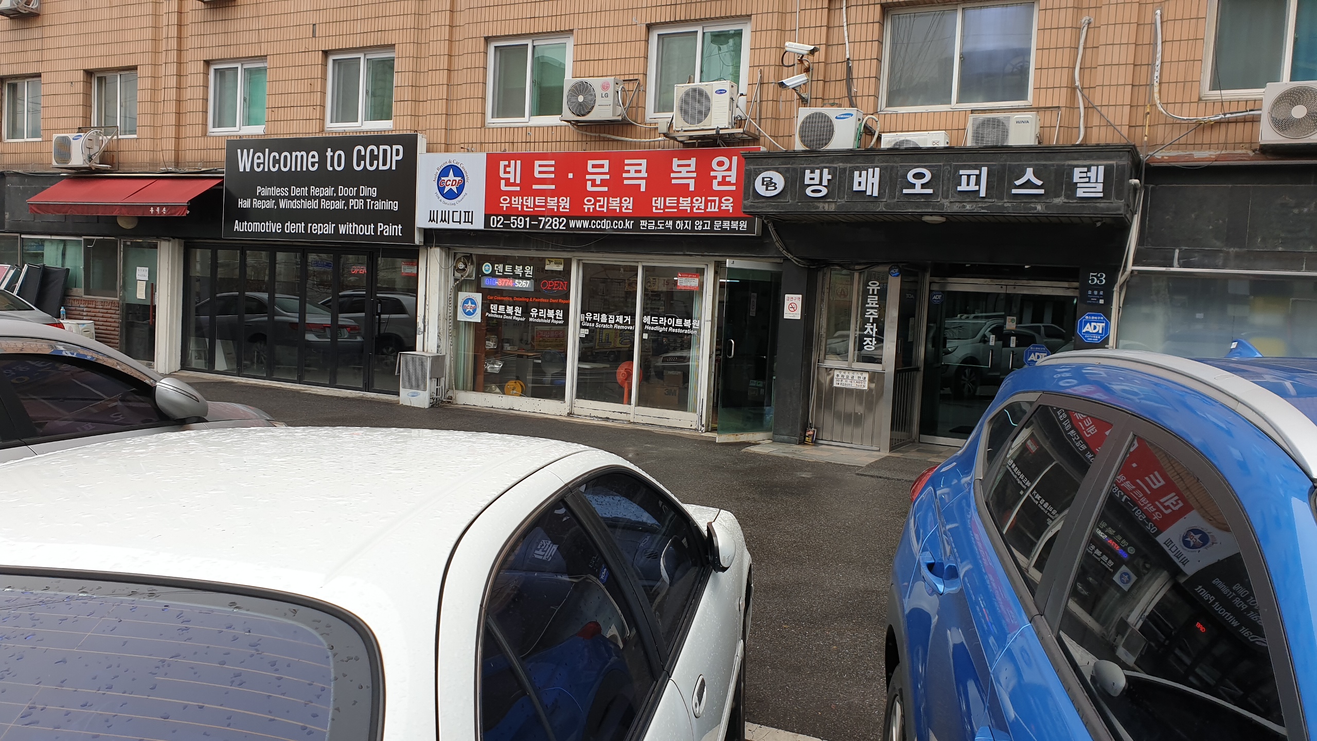 씨씨디피 이미지