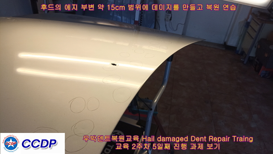 우박덴트Repair 이미지