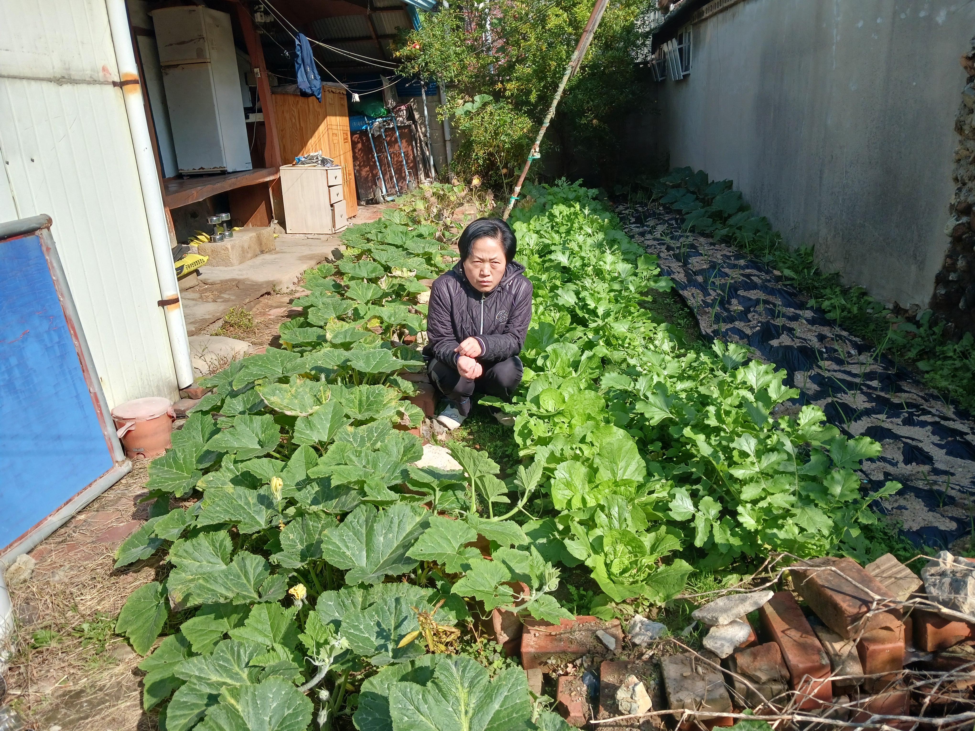 현대이용소 이미지