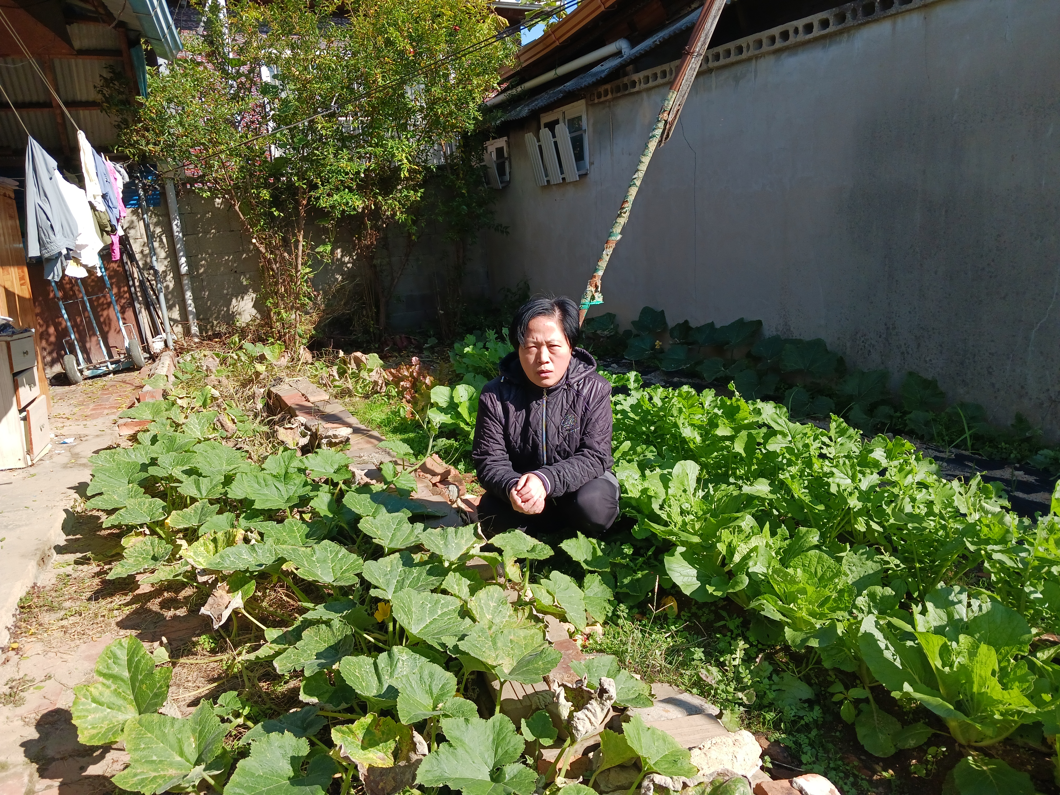 대성이용소 이미지