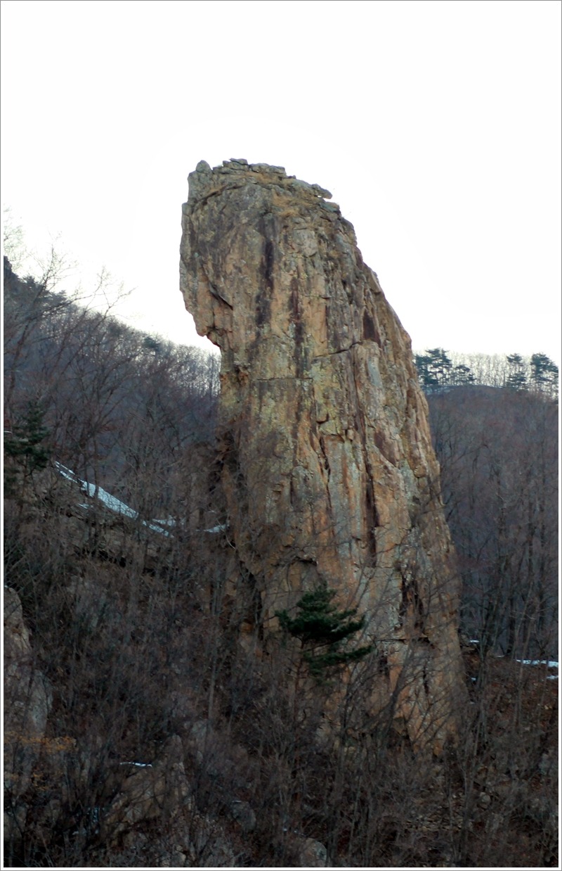 금강카 이미지