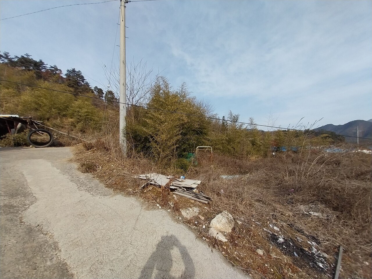 양지바른 이미지