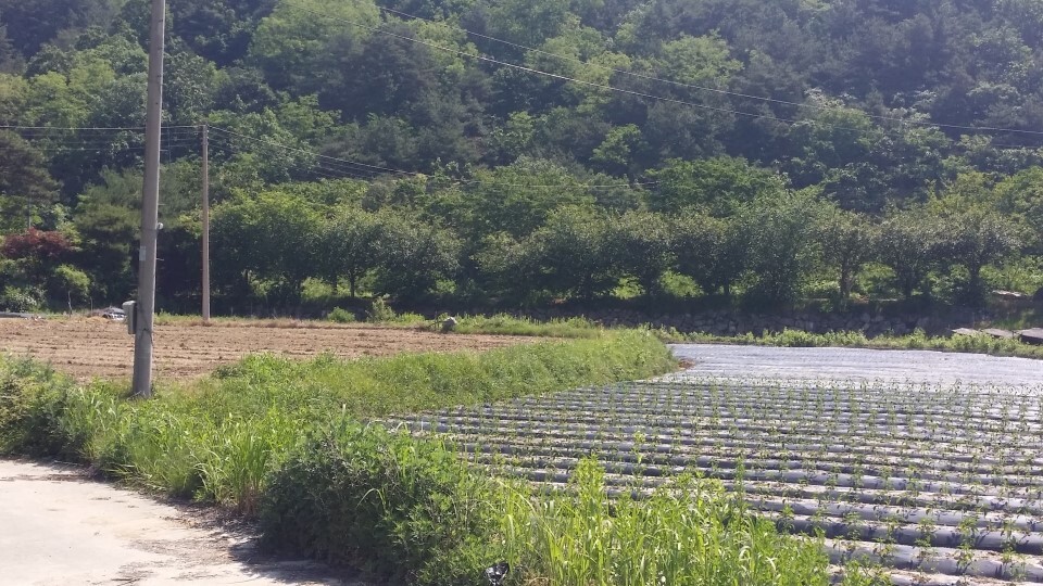금산IC 이미지