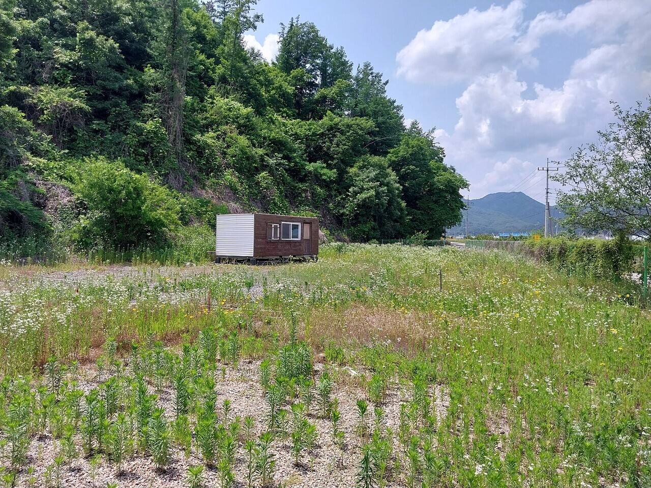 금산IC 이미지