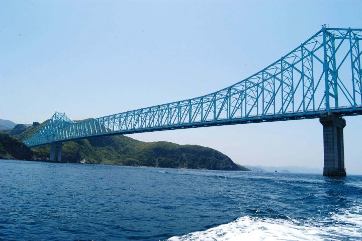 카멜리아 이미지